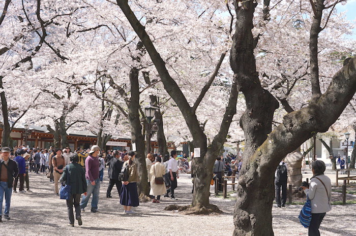 f:id:chikojirou:20190407211331j:plain