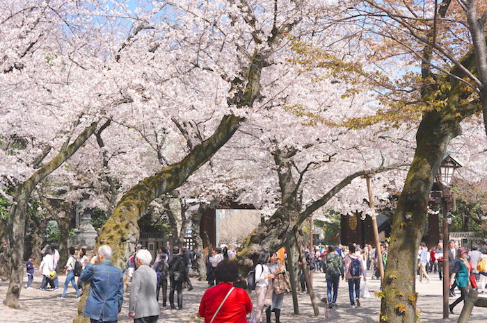 f:id:chikojirou:20190407211405j:plain