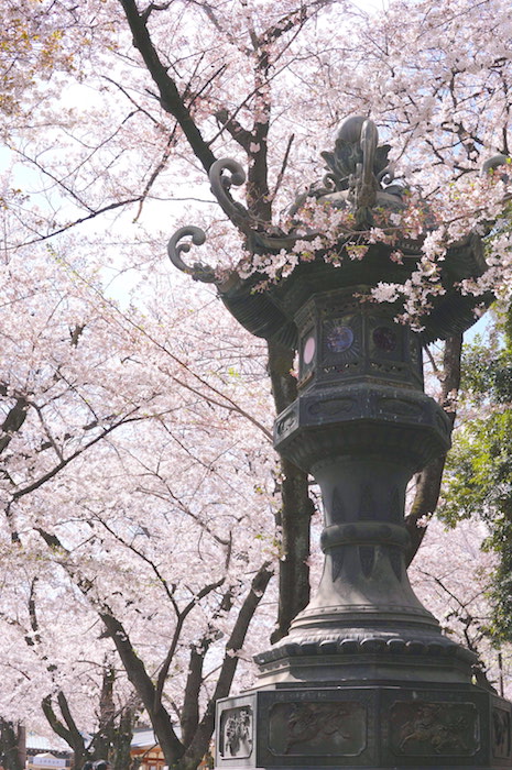 f:id:chikojirou:20190407211418j:plain