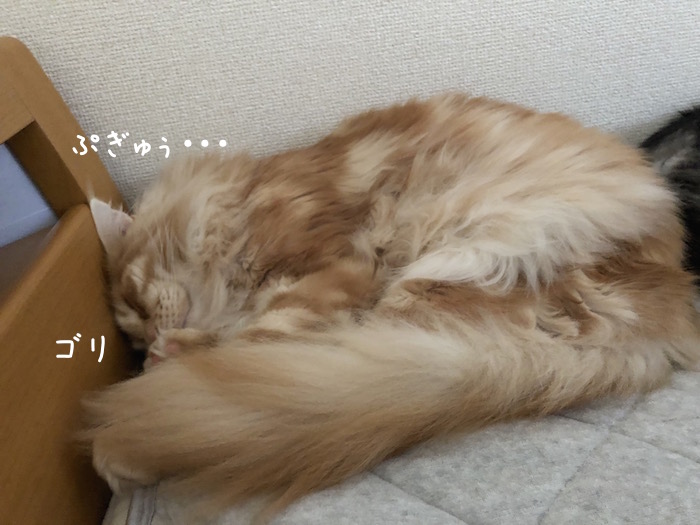 f:id:chikojirou:20190430193607j:plain f:id:chikojirou:20190430193607j:plain