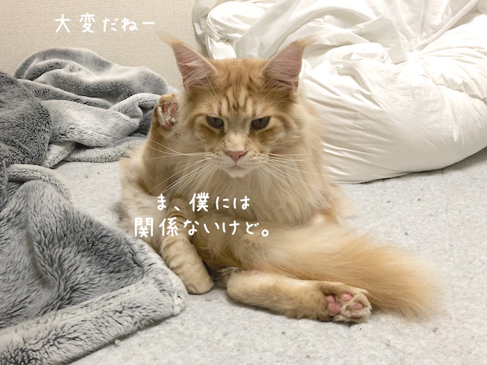 f:id:chikojirou:20190506213228j:plain