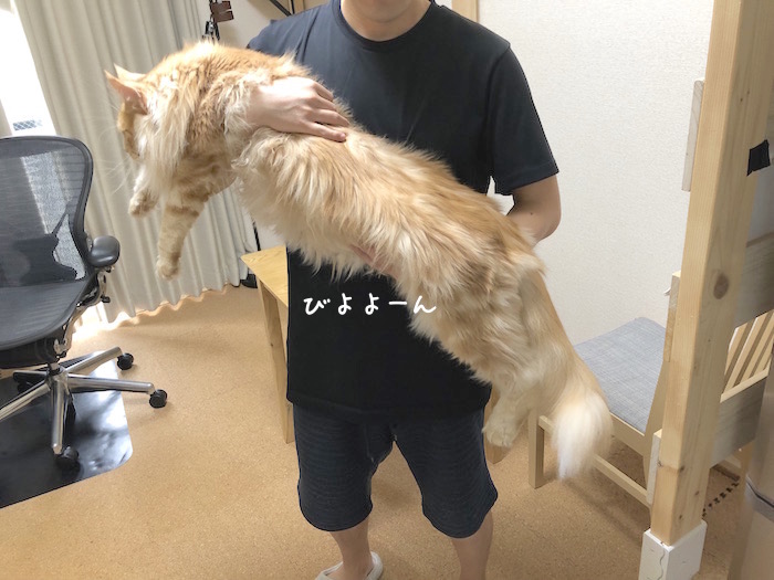 f:id:chikojirou:20190618214131j:plain