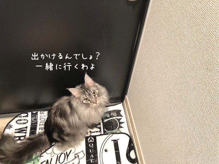 f:id:chikojirou:20190618214141j:plain