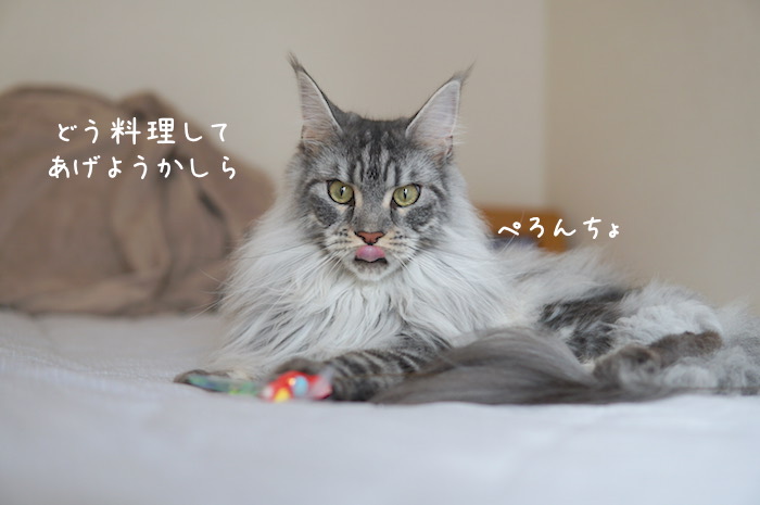 f:id:chikojirou:20190707212241j:plain