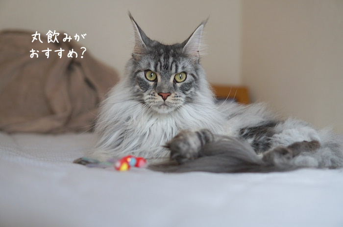 f:id:chikojirou:20190707212246j:plain