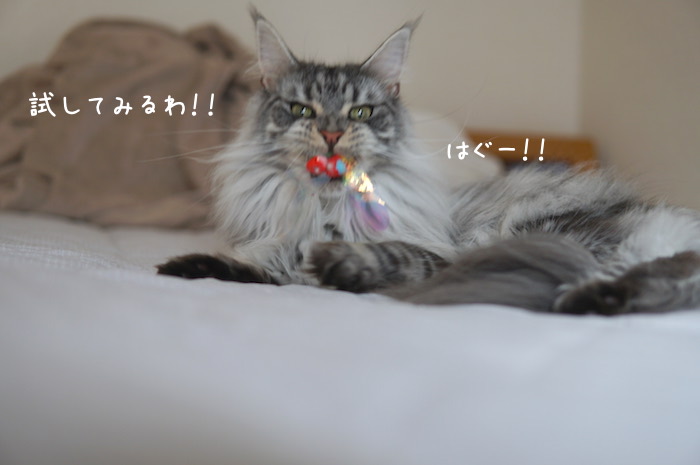 f:id:chikojirou:20190707212248j:plain