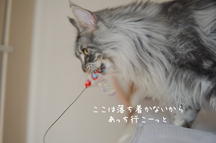 f:id:chikojirou:20190707212251j:plain