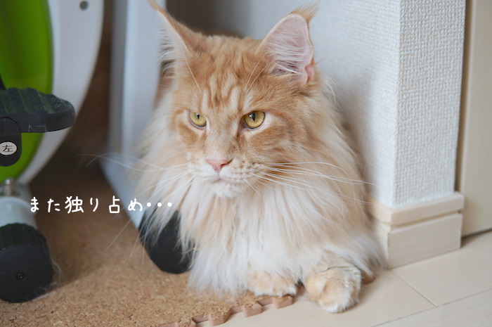 f:id:chikojirou:20190707212254j:plain