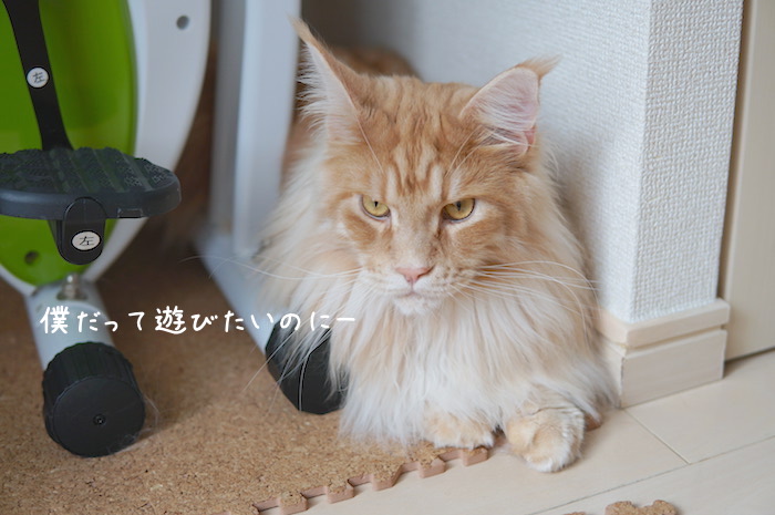 f:id:chikojirou:20190707212257j:plain