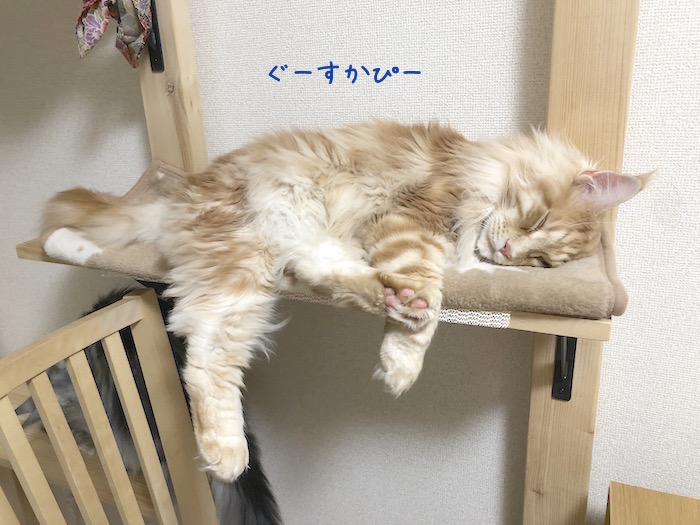 f:id:chikojirou:20190707212301j:plain