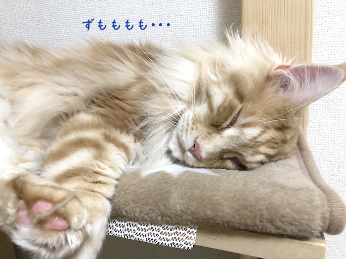 f:id:chikojirou:20190707212305j:plain