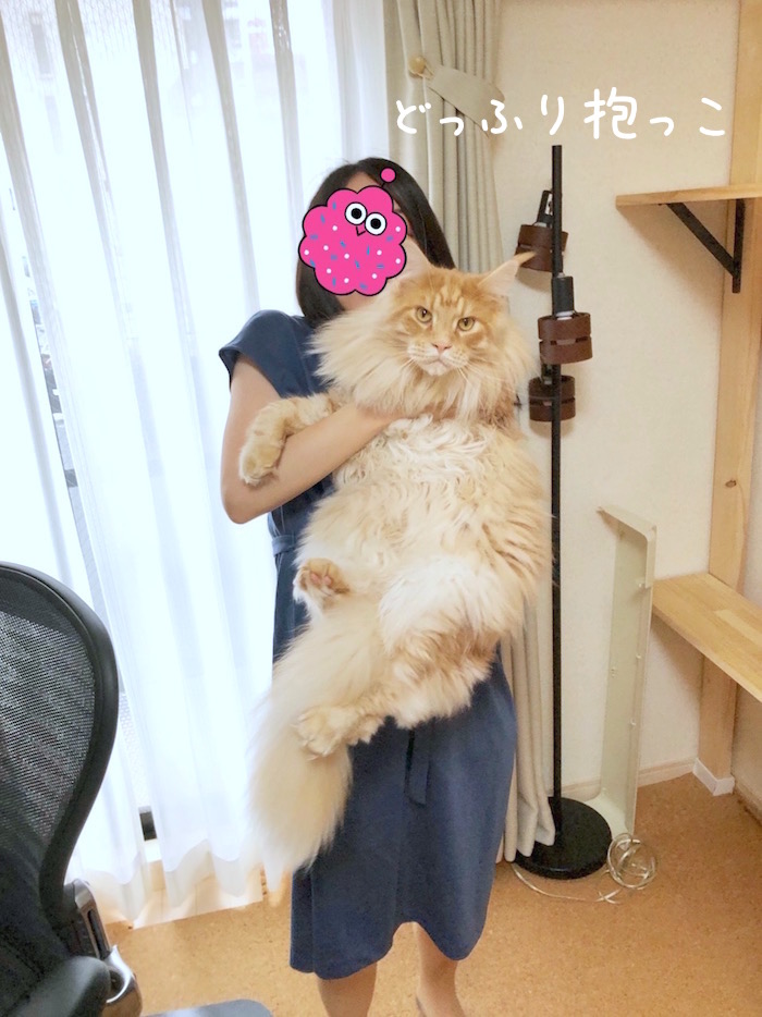 f:id:chikojirou:20190707212317j:plain