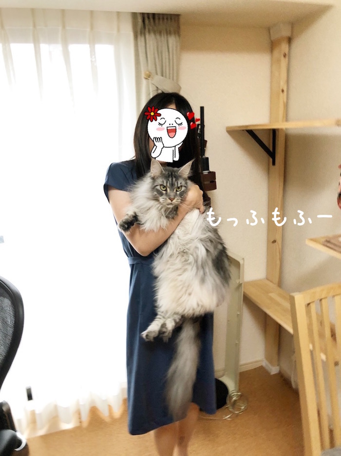 f:id:chikojirou:20190707212321j:plain
