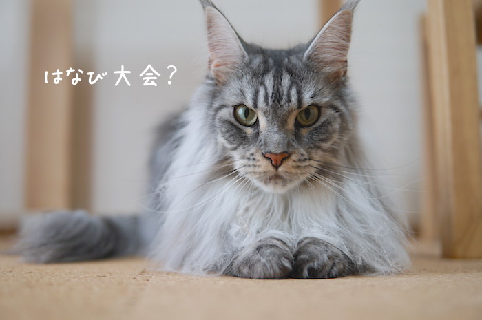 f:id:chikojirou:20190728202638j:plain