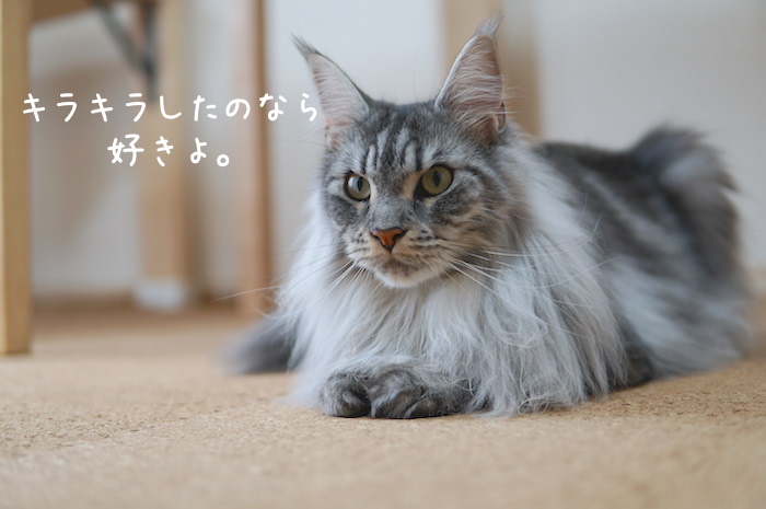 f:id:chikojirou:20190728202641j:plain