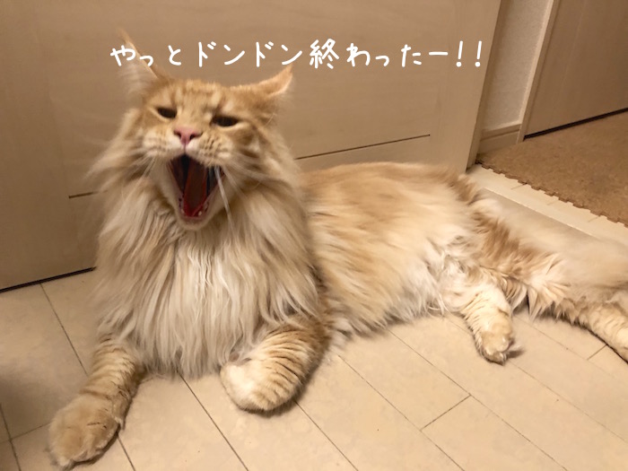 f:id:chikojirou:20190728202723j:plain