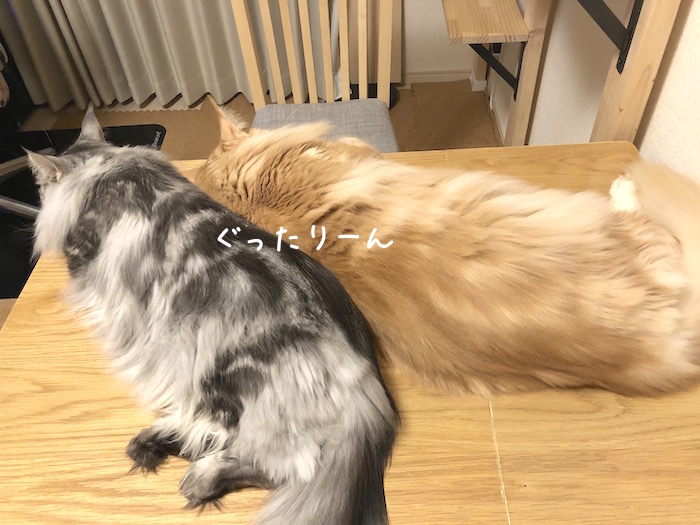 f:id:chikojirou:20190728202729j:plain