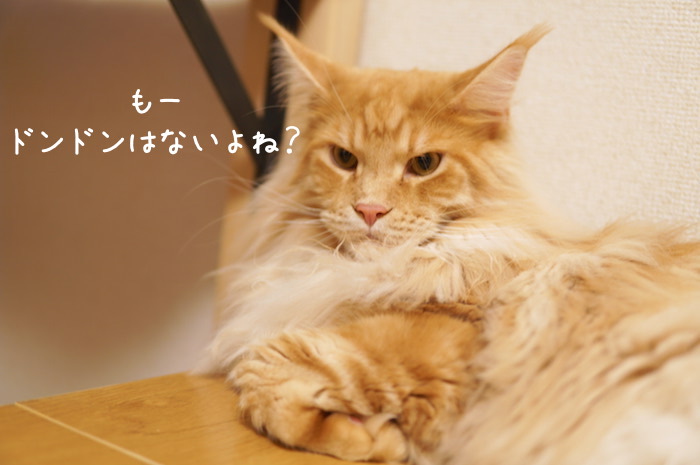f:id:chikojirou:20190728202735j:plain