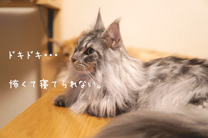 f:id:chikojirou:20190728202741j:plain
