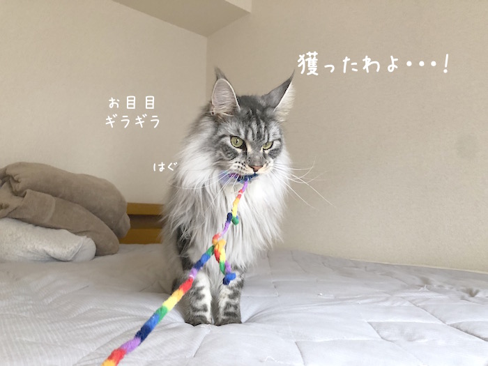 f:id:chikojirou:20190729215040j:plain