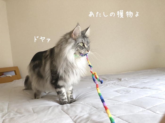 f:id:chikojirou:20190729215043j:plain