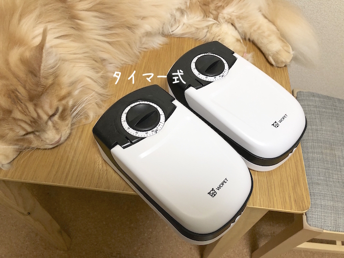 f:id:chikojirou:20190821212800j:plain