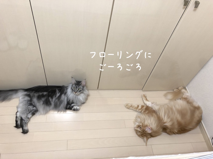 f:id:chikojirou:20190821212936j:plain