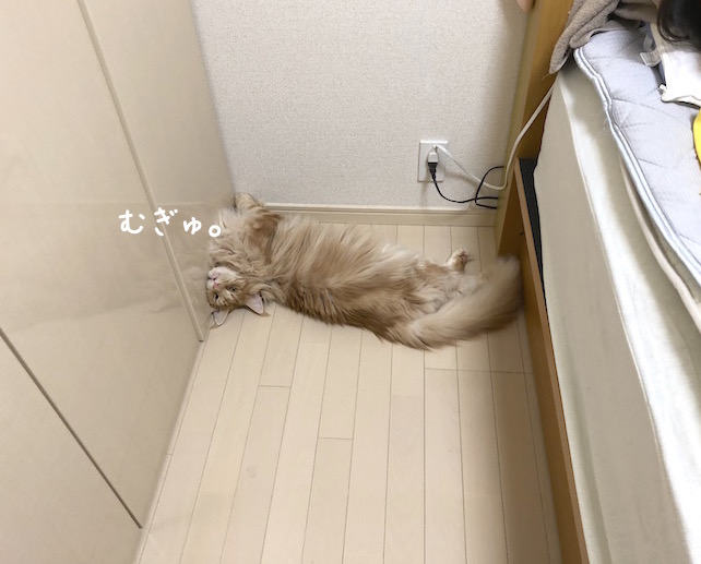 f:id:chikojirou:20190821212939j:plain