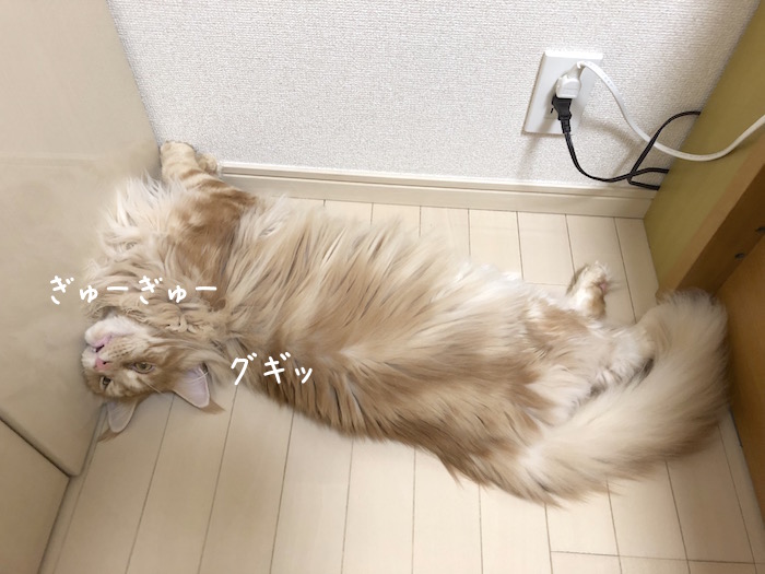 f:id:chikojirou:20190821212943j:plain
