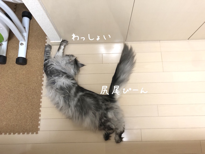 f:id:chikojirou:20190821212956j:plain