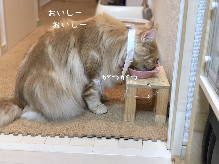 f:id:chikojirou:20190825141752j:plain