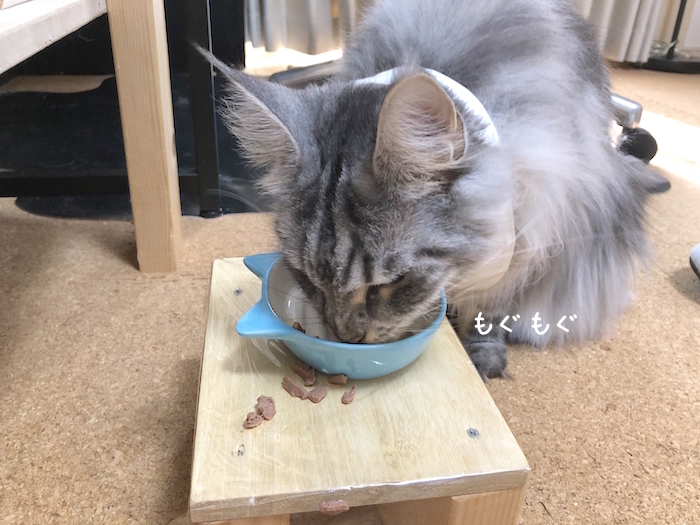 f:id:chikojirou:20190825141755j:plain