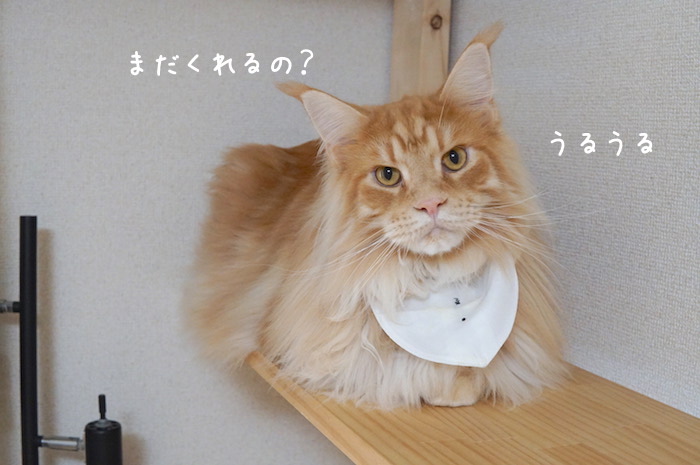 f:id:chikojirou:20190825141802j:plain