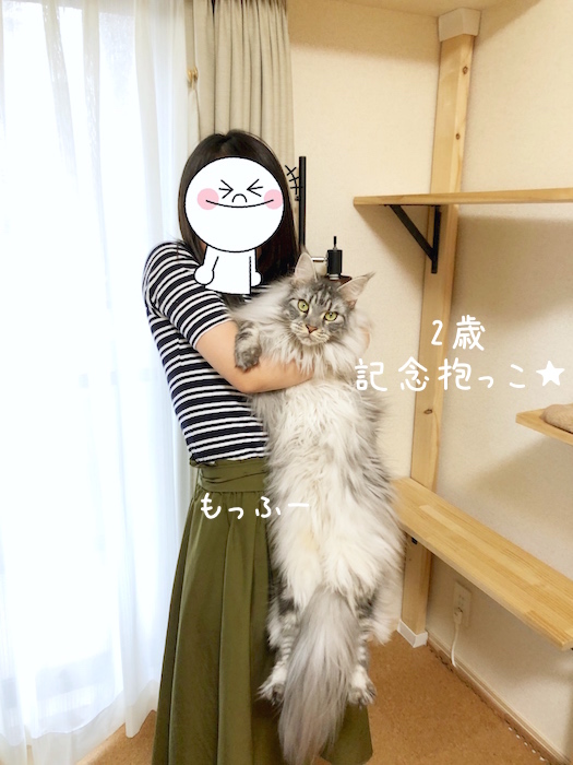 f:id:chikojirou:20190825141807j:plain