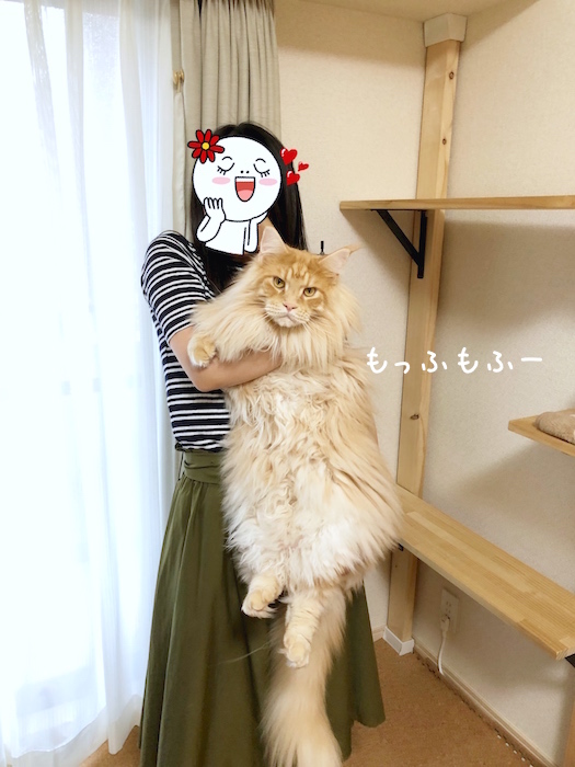 f:id:chikojirou:20190825141810j:plain