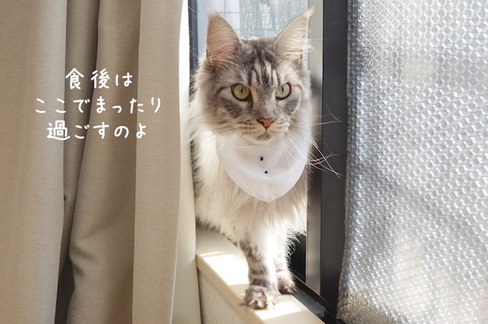 f:id:chikojirou:20190825141813j:plain
