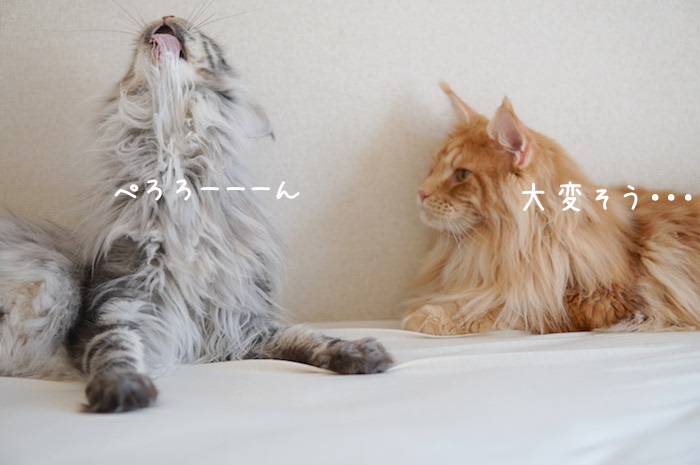 f:id:chikojirou:20190825141820j:plain