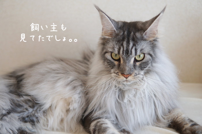 f:id:chikojirou:20190825141827j:plain