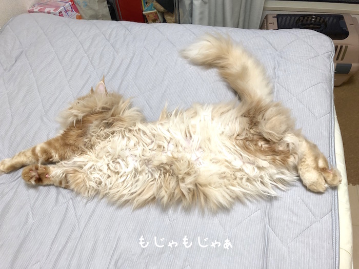 f:id:chikojirou:20190827211216j:plain