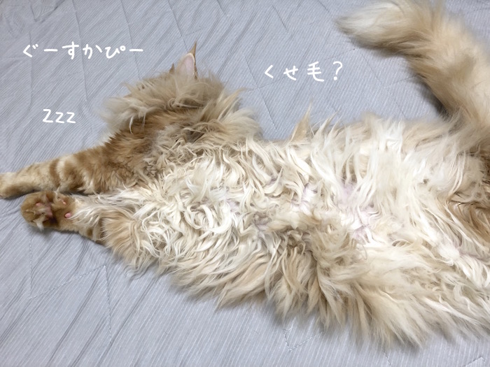 f:id:chikojirou:20190827211222j:plain