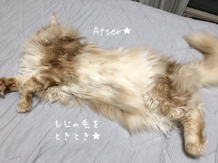 f:id:chikojirou:20190827211229j:plain