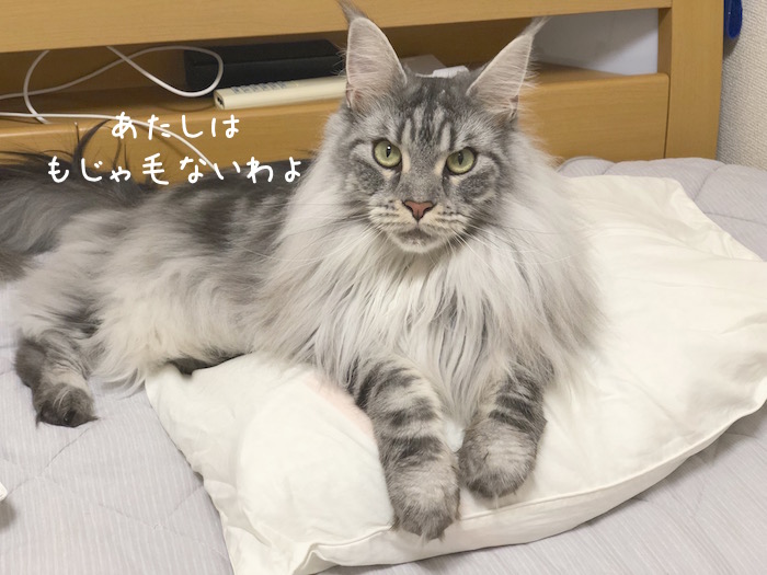 f:id:chikojirou:20190827211238j:plain