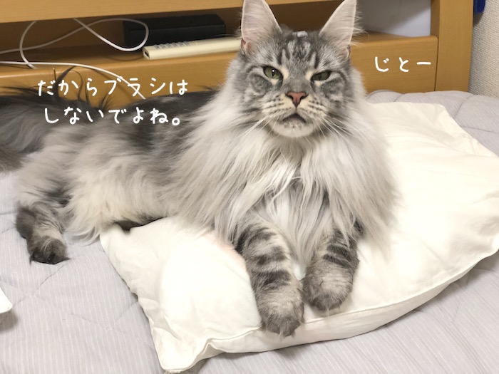 f:id:chikojirou:20190827211241j:plain
