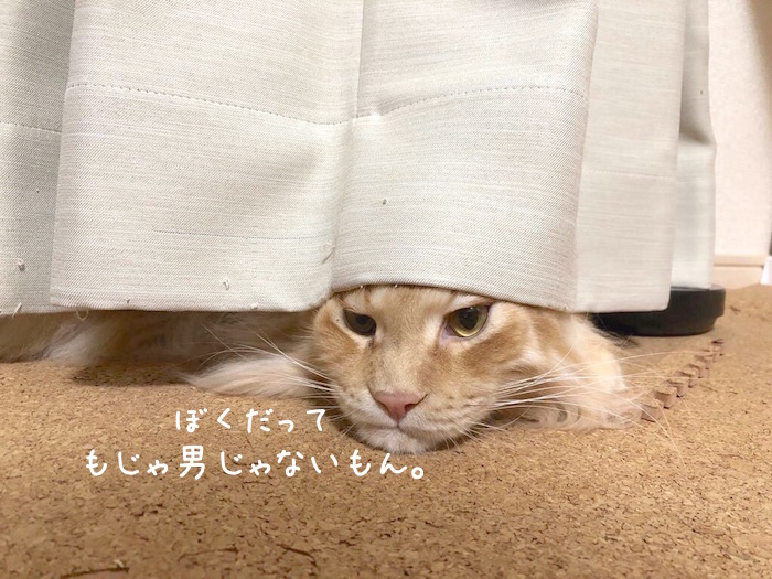 f:id:chikojirou:20190827211244j:plain