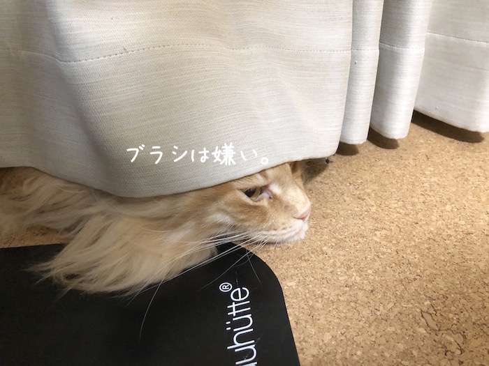 f:id:chikojirou:20190827211247j:plain