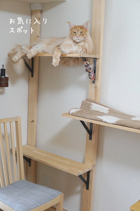 f:id:chikojirou:20190905220527j:plain