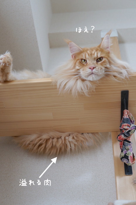 f:id:chikojirou:20190905220542j:plain