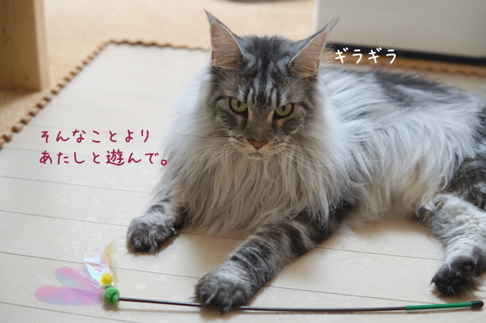 f:id:chikojirou:20190905220545j:plain