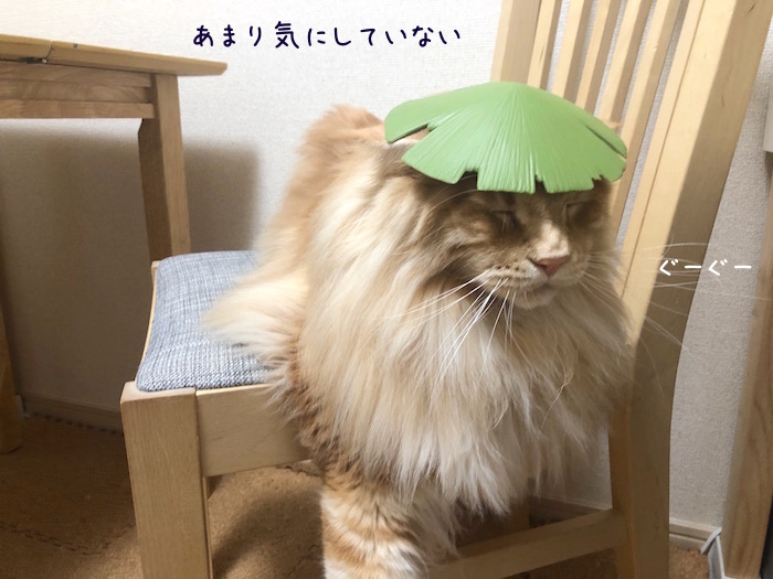 f:id:chikojirou:20190905220623j:plain