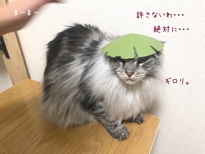 f:id:chikojirou:20190905220633j:plain